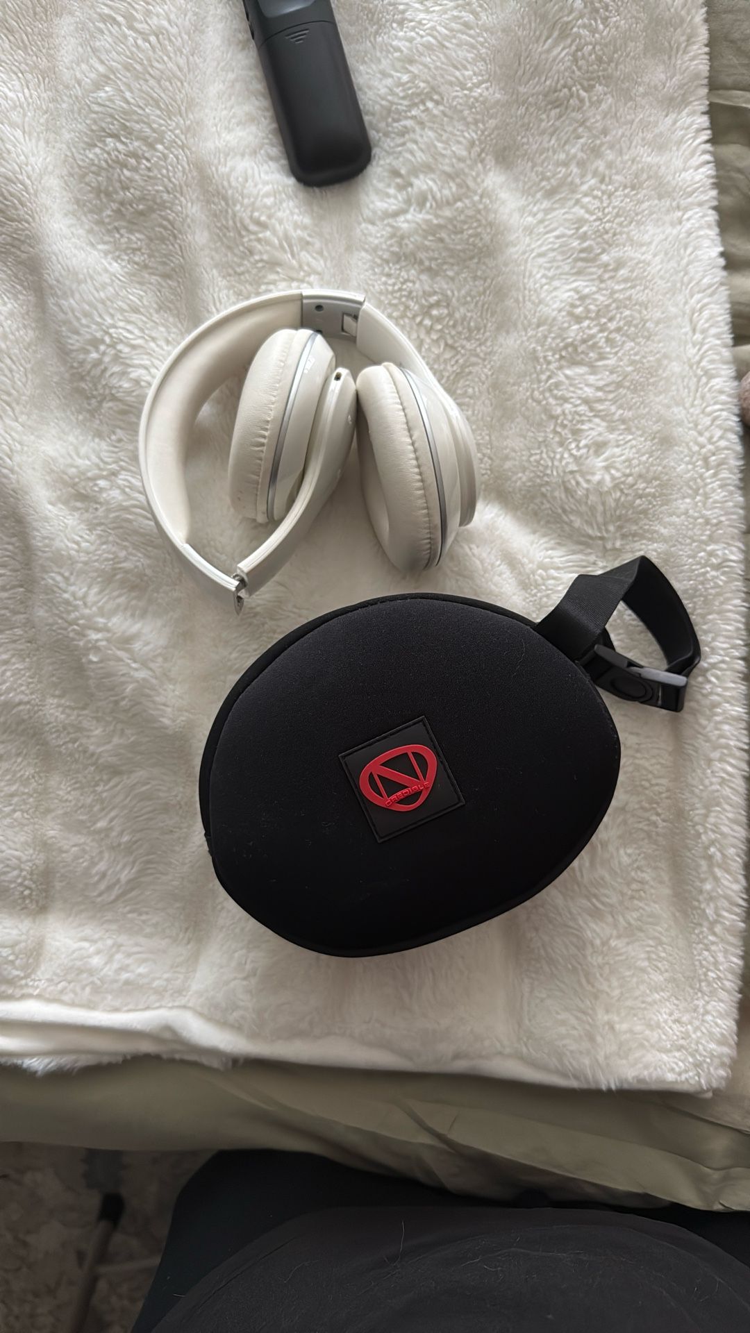 Headhones With Cloth Case.