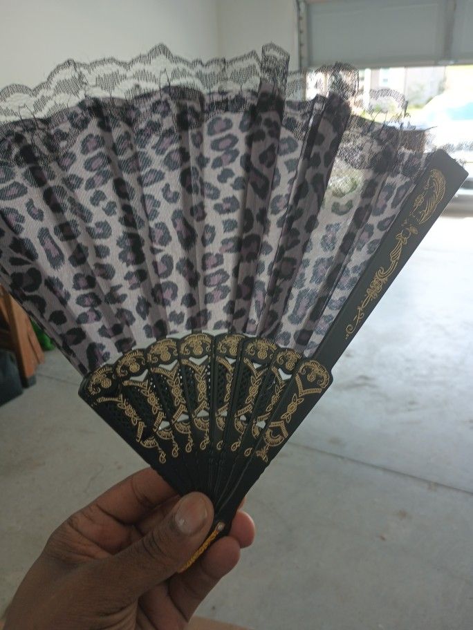 Unique Chinese Fan
