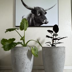Handmade Rustic Cement Pots