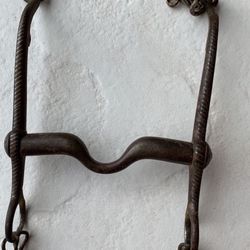 Horse Riding Bit 