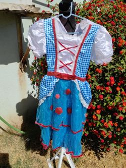 Child's dorthy costume size 8-10