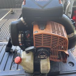 Echo Backpack Blower And Weedeater