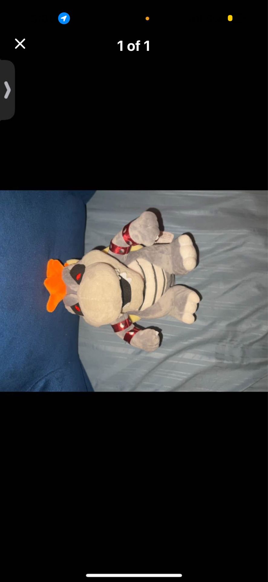 Dry Bowser