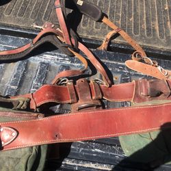 Nail bags with harness an extra belt