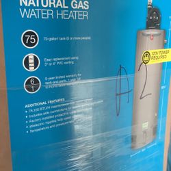 Rheem Performance 75 Gal. Tall 6 Year 76,000 BTU Natural Gas Power Vent Tank Water Heater