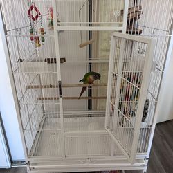 Bird Cage For Green Cheek Conures