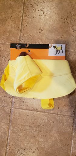 Halloween dog costume