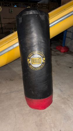 Everlast Punching Bag 