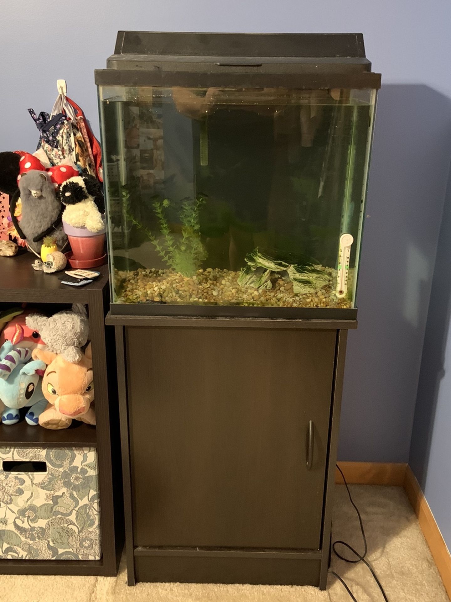 15 Gallon Aquarium, Stand, Light And Filter