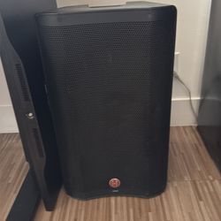 Dos parlantes profesionales