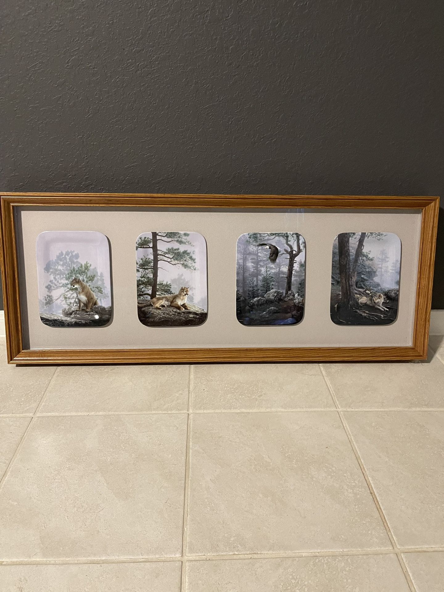 Wildlife Plates Framed