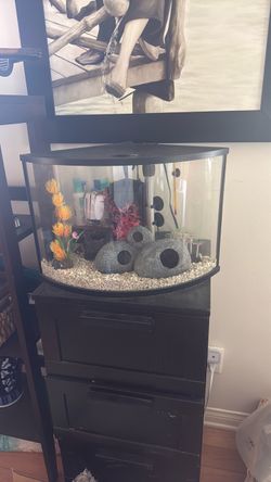 Fish tank