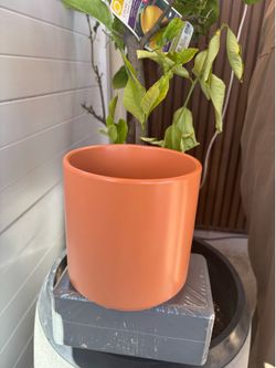 Peach color Pot