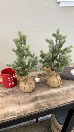 Festive Frosted Mini Christmas Trees in Burlap (Pair)