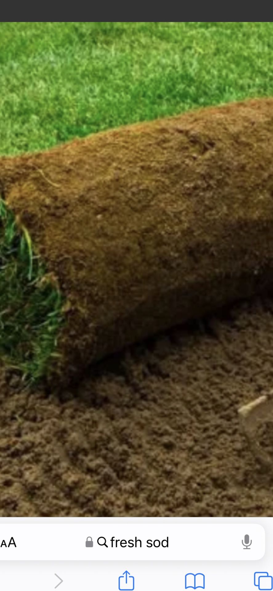 Fresh Sod