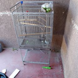Bird Cage