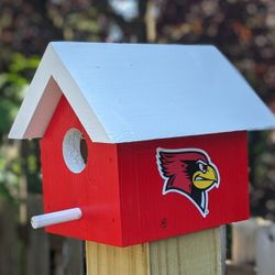 University Bird Houses 