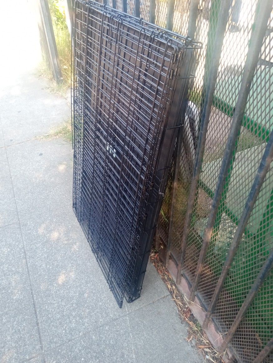 Big Dog Cage