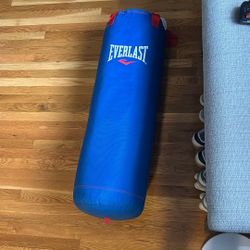 Everlast Heavy Bag