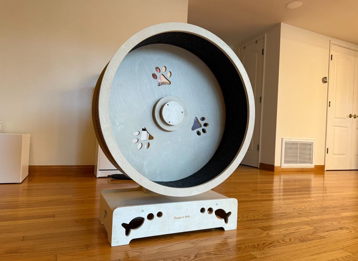 Solid Wood Cat Exercise Wheel - Beige
