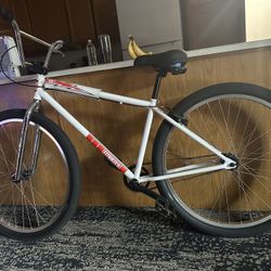 29 Inch Fit Bike 