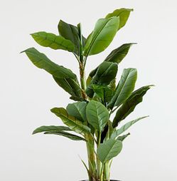 Crate and Barrel Banana Lead faux plant