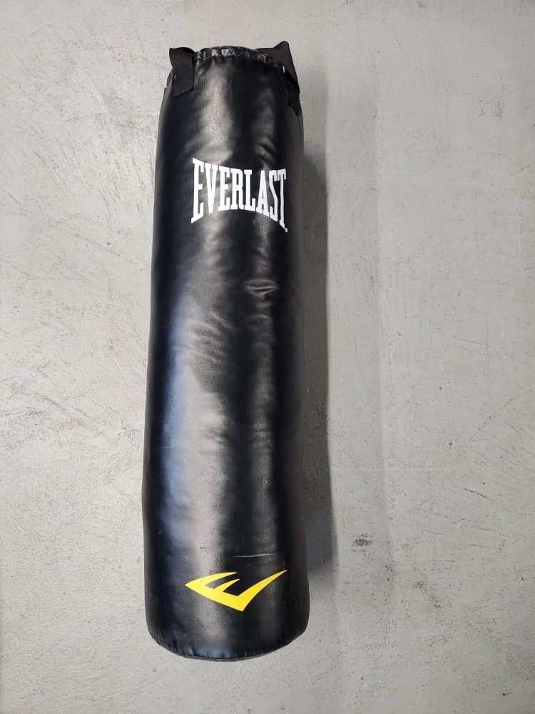 Everlast Heavy Bag