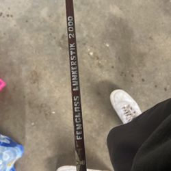 Fenwick Lunkerstick 2000