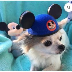 Mikey Mouse Ears