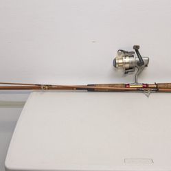 Fishing Pole And Reel