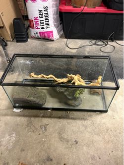 reptile tank