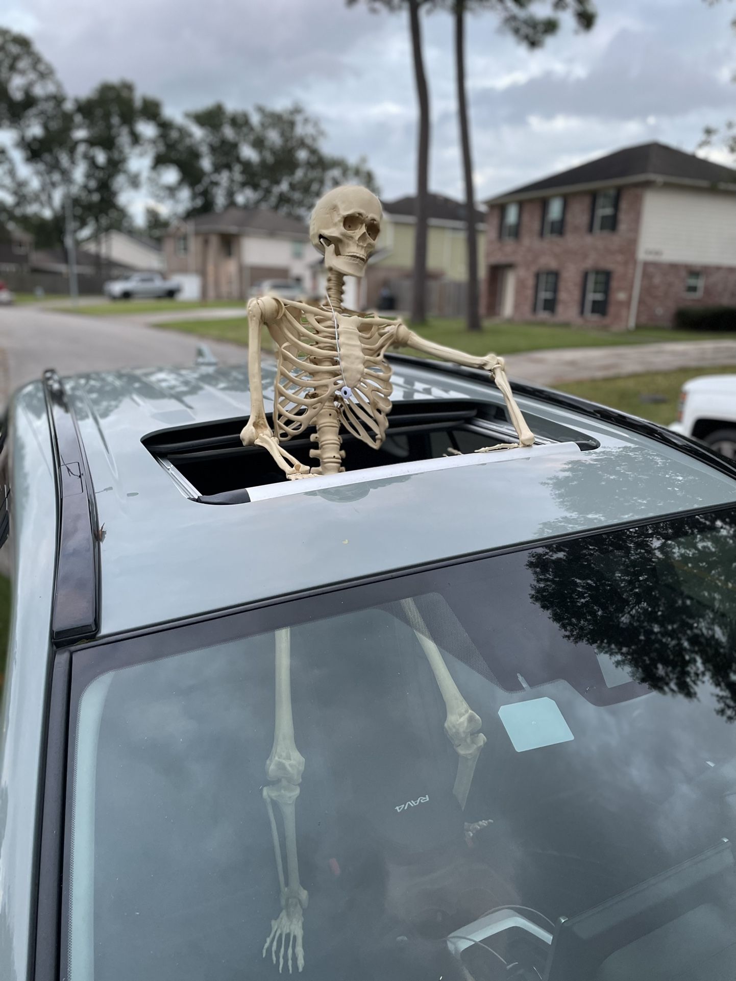 Skeleton 2024 car antenna