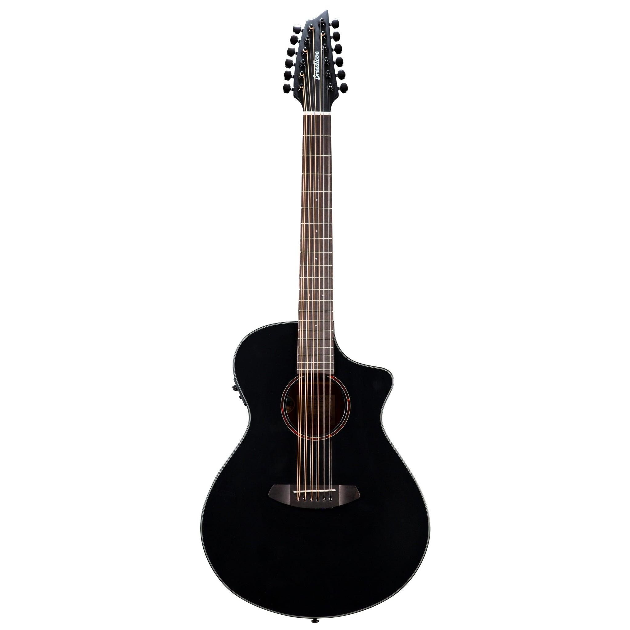 Breedlove 12 String Acoustic Guitar 