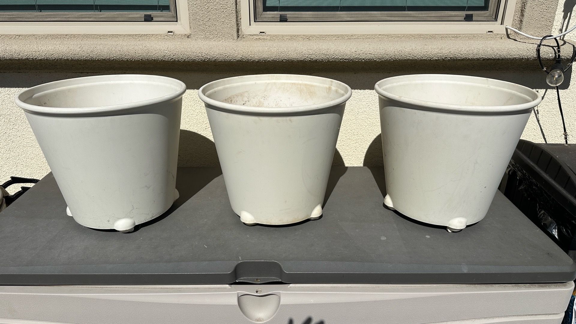 Big planters
