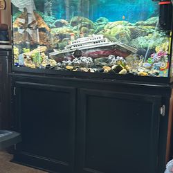Fish With Fish Tank And All Supplies. 