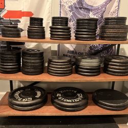 Lots Of Weights, Barbells, Dumbbells And More