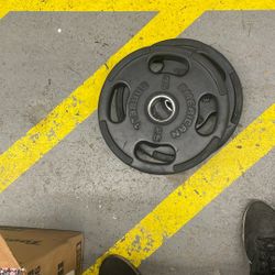 25 Pound Weight Plates 