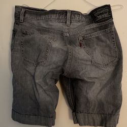 levis Brand Shorts