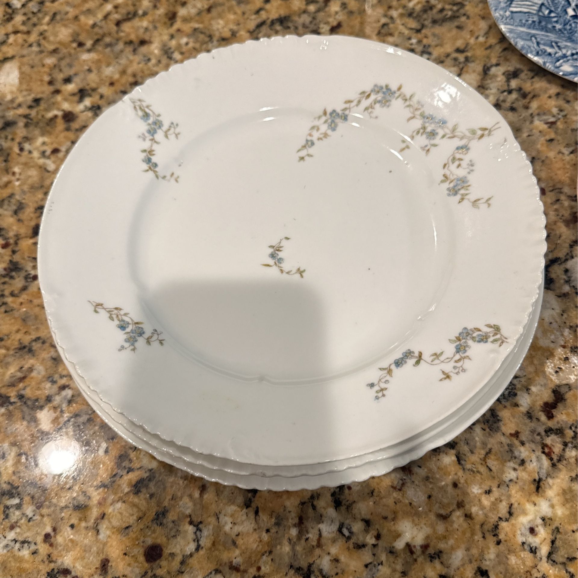 C H Fields Haviland Limoges Dinner Plates