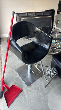 Salon Chair