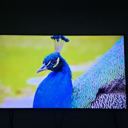 55 In Vizio Smart Tv 4k Uhd