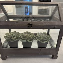 Atrium Decorative Decor