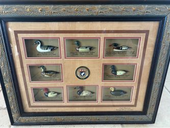 decoy collection