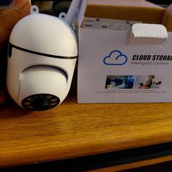 Smart WiFi Cameras