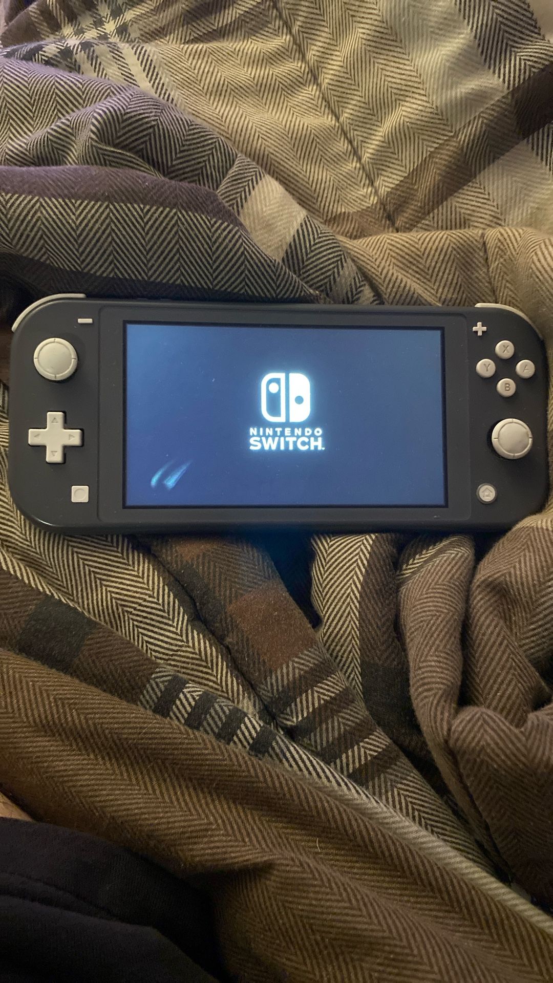 Switch Light Grey