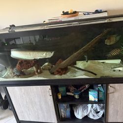 Aquarium 125 Gallons 