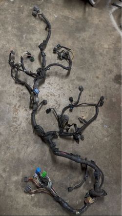 Automotive Engine Wiring Harness