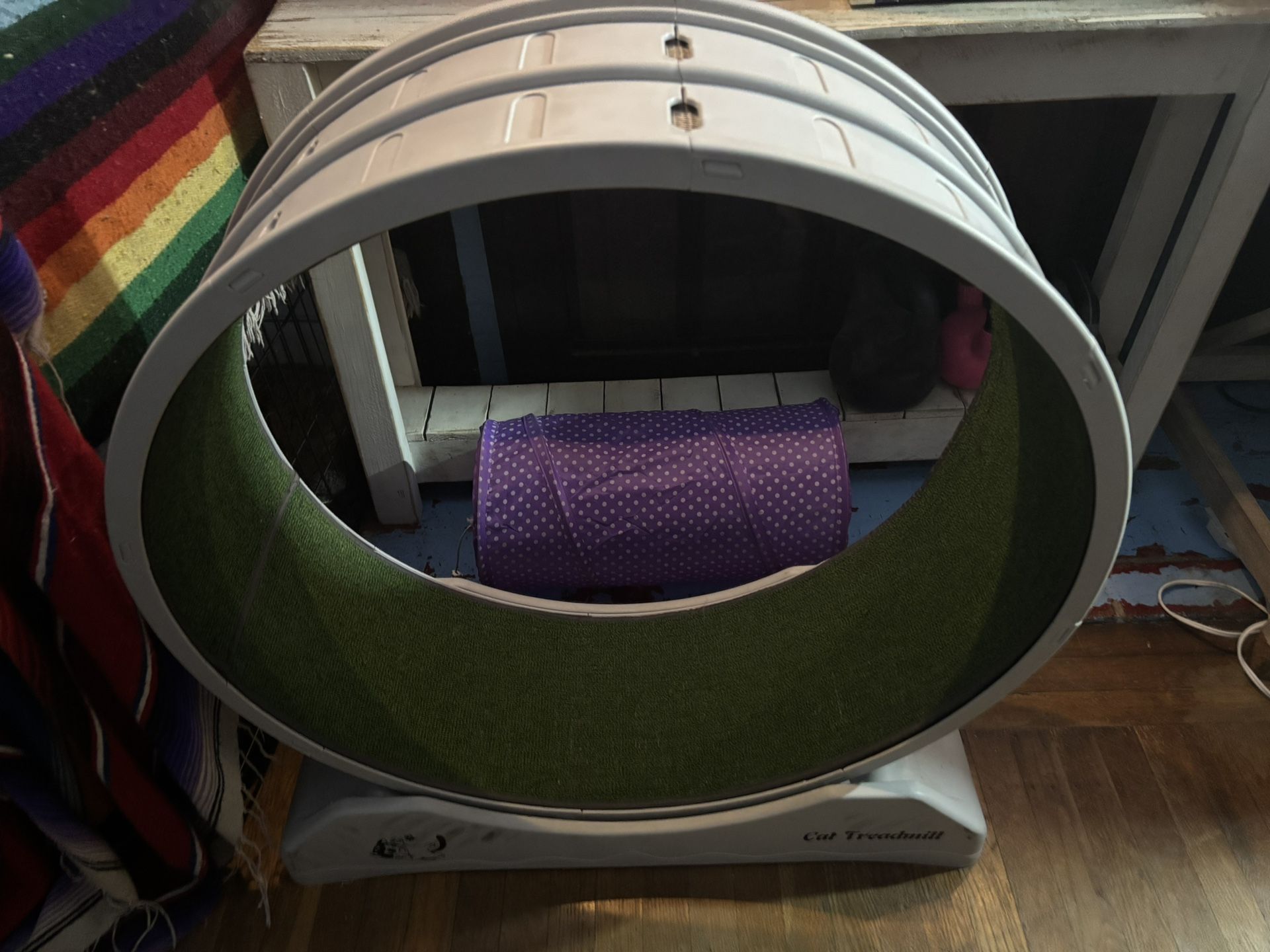 Cat treadmill