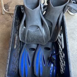 Dive Fins 