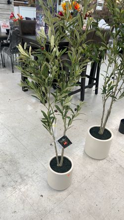 4ft Artificial Olive Tree in White Pot